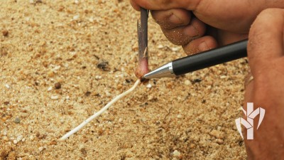 Perfilho coletado já com raiz na tecnologia PeRRfecta