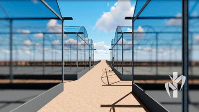 Projetos de viveiro para produção de mudas de cana desenvolvido pela PeRRfecta