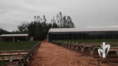 Projeto viveiro da Usina Barralcool realizado pela PeRRfecta