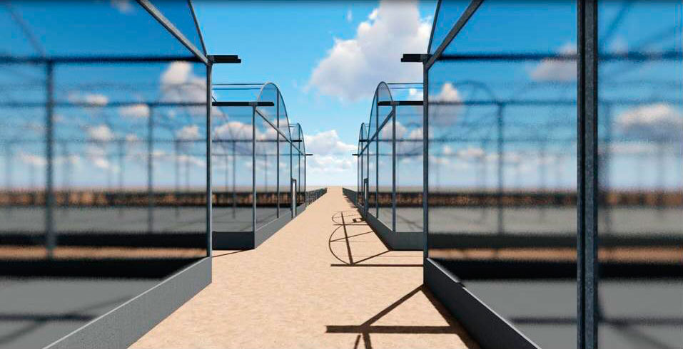 Projeto e pesquisa e desenvolvimento em produção de mudas de cana